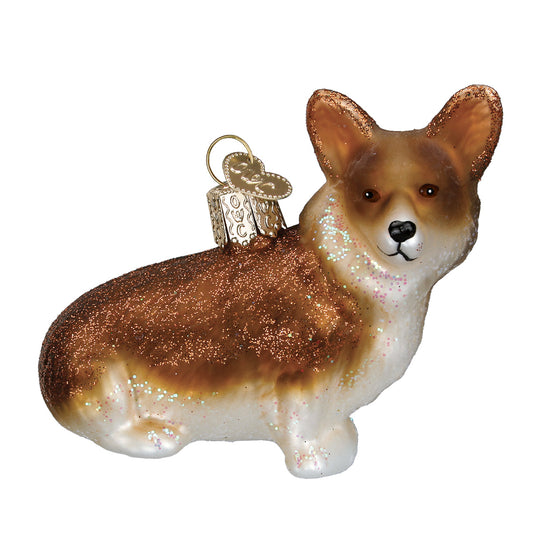 Pembroke Welsh Corgi