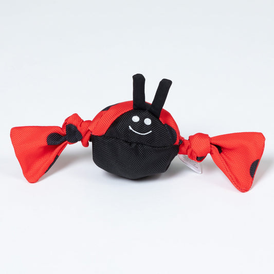 Jolly Pets Jolly Tug™ Insect Medium Dog Toy
