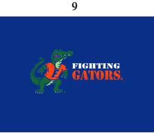 Florida Infant Lap Shoulder Creeper Print