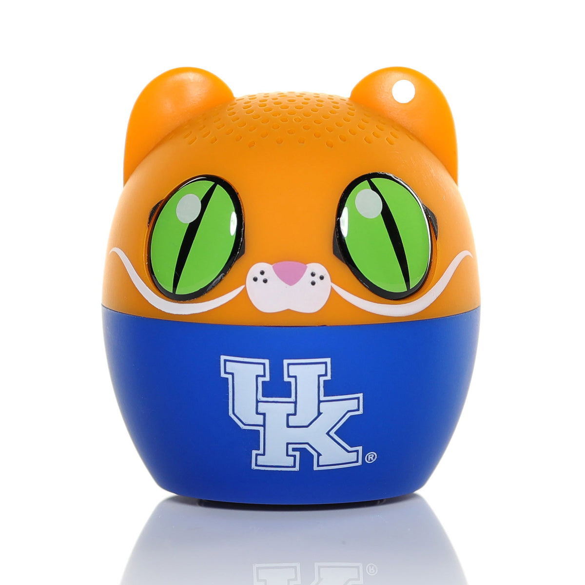 Kentucky Wildcats