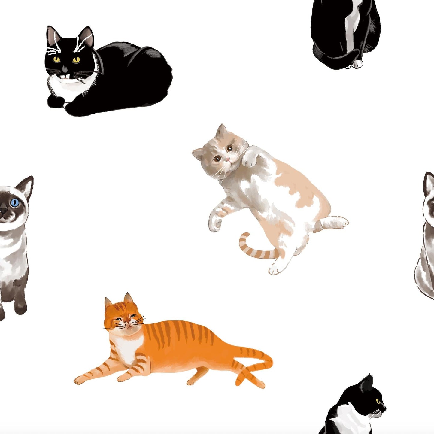 Purr-fect Swaddle Blanket