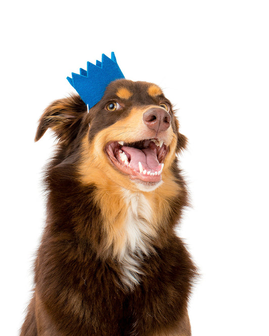 BRIGHT PARTY CROWNS