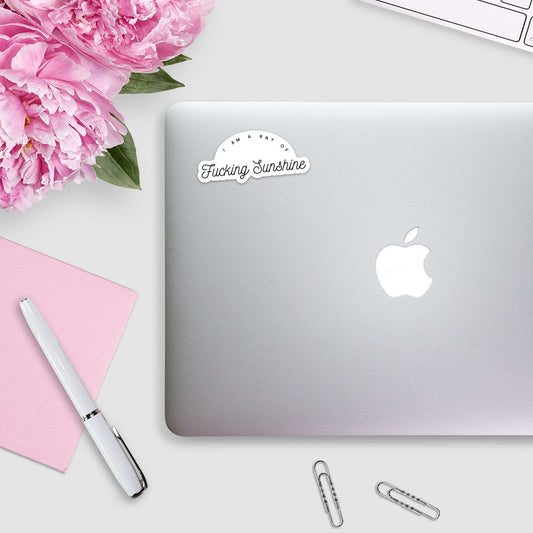 I am a ray of fucking sunshine Sticker