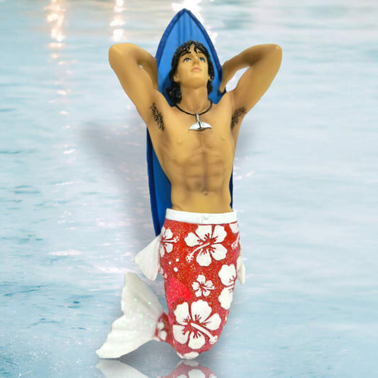 Merman Hung 10 by December Diamonds