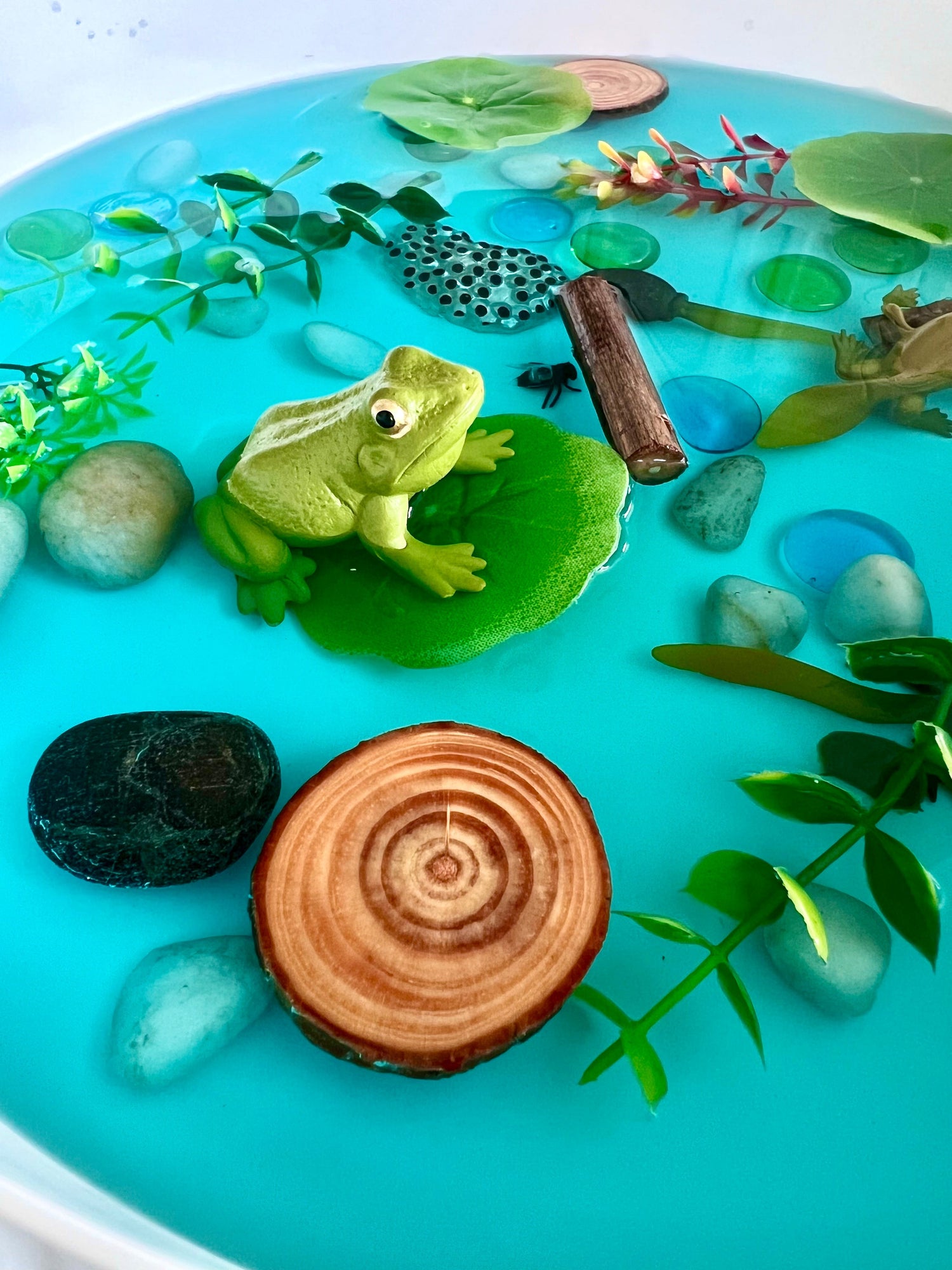 The Sensory Studio Collection