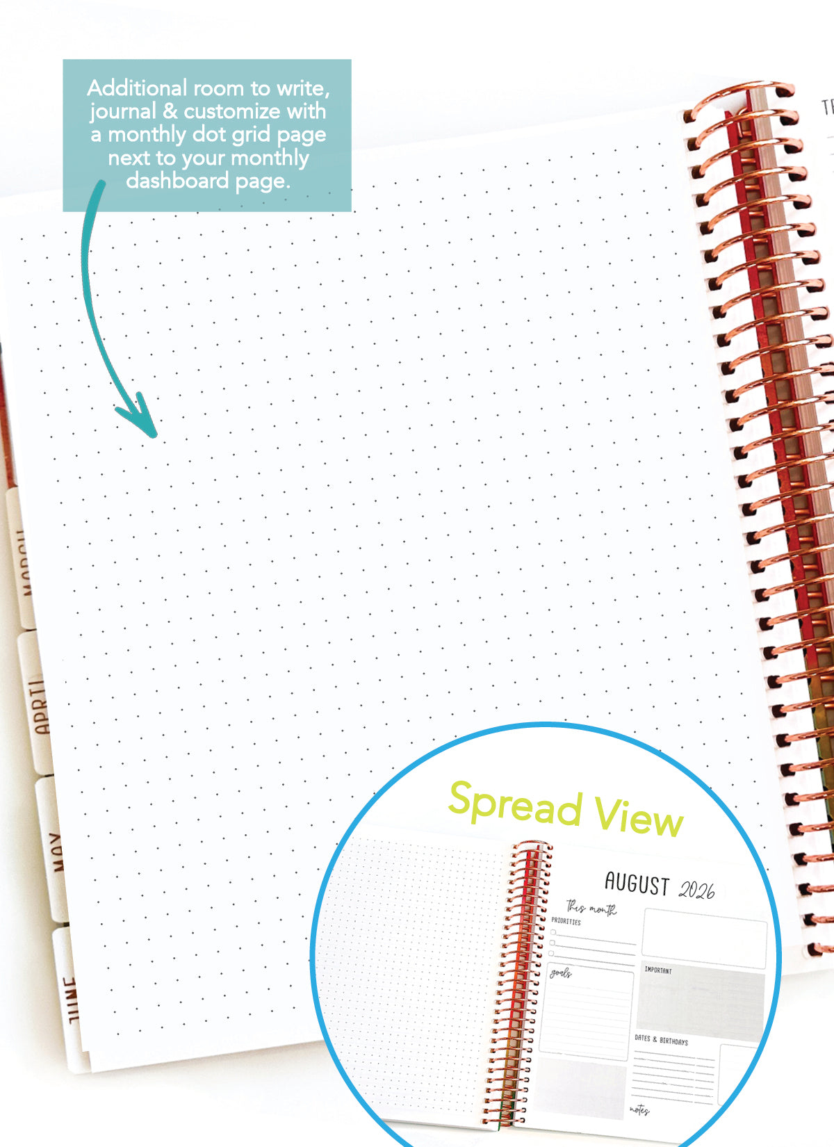 2026 Planner - Signature Layout, Spiral Bound - "Whimsical" (#202)