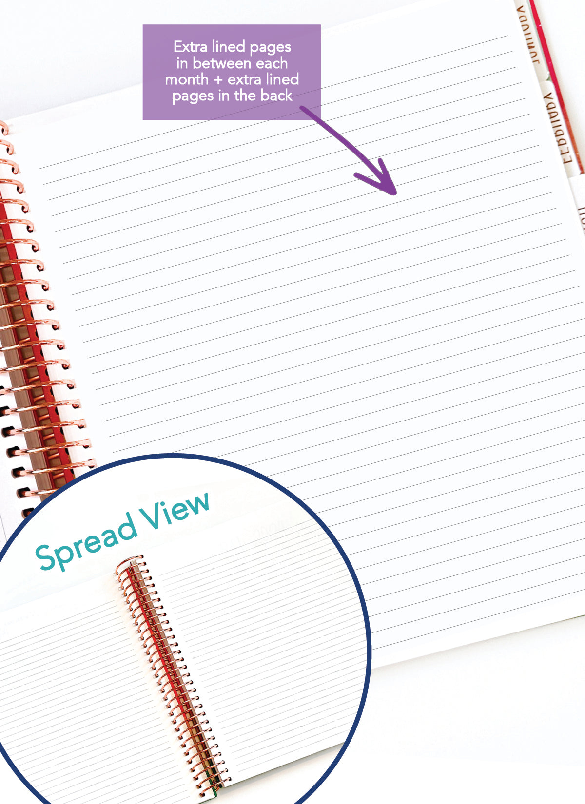 2026 Planner - Signature Layout, Spiral Bound - "Whimsical" (#202)
