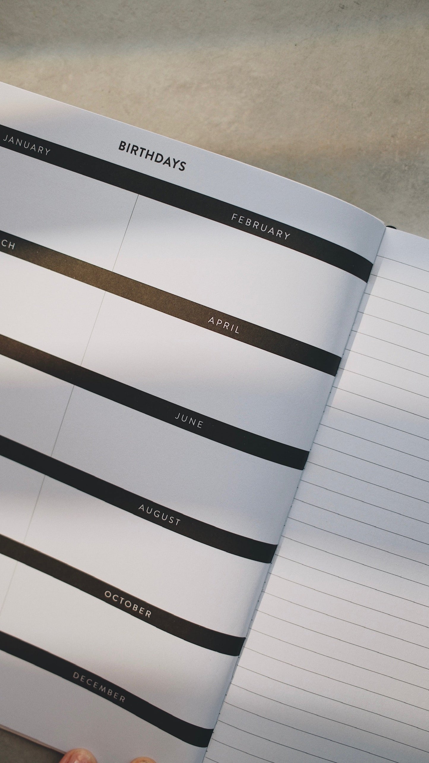 8x10 Undated Education Planner - Doodle Edition
