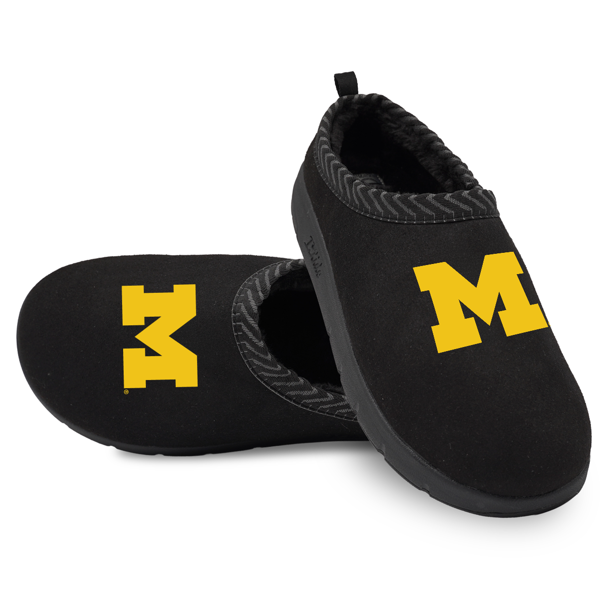 Michigan Wolverines Primary Logo Mission