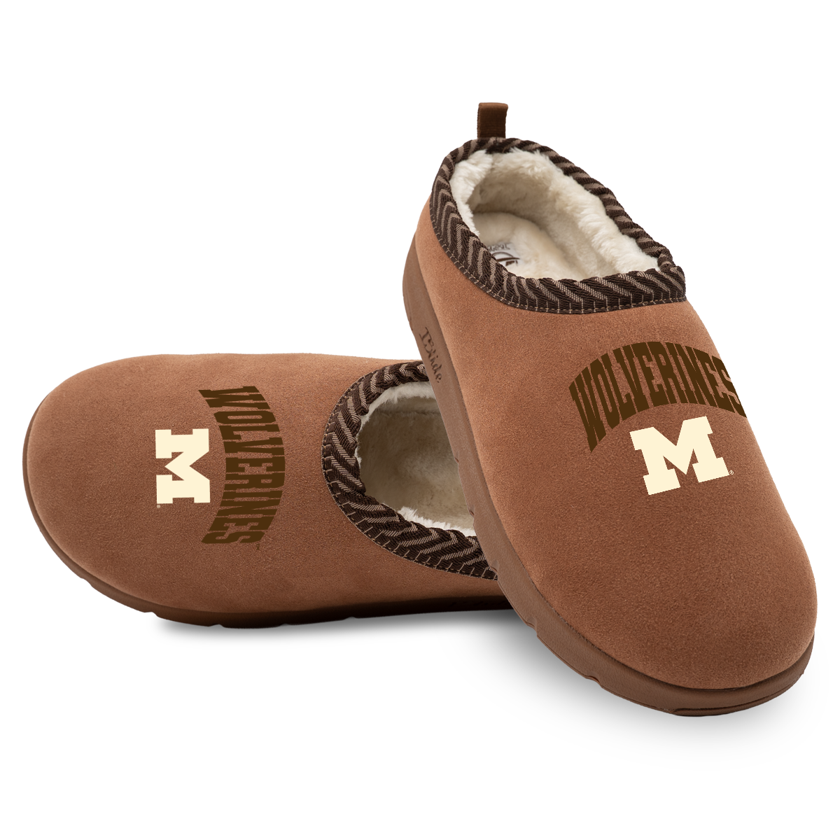 Michigan Wolverines Tonal Pop Mission