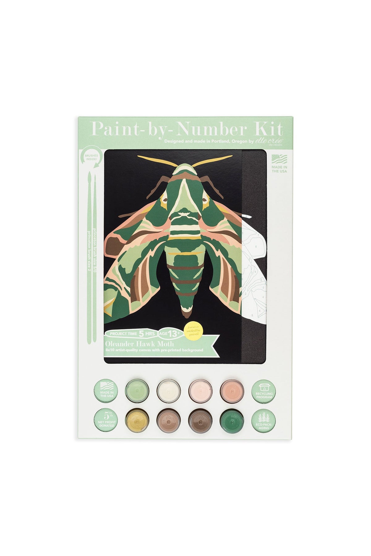 Oleander Hawk Moth | 8x10 paint-by-number kit