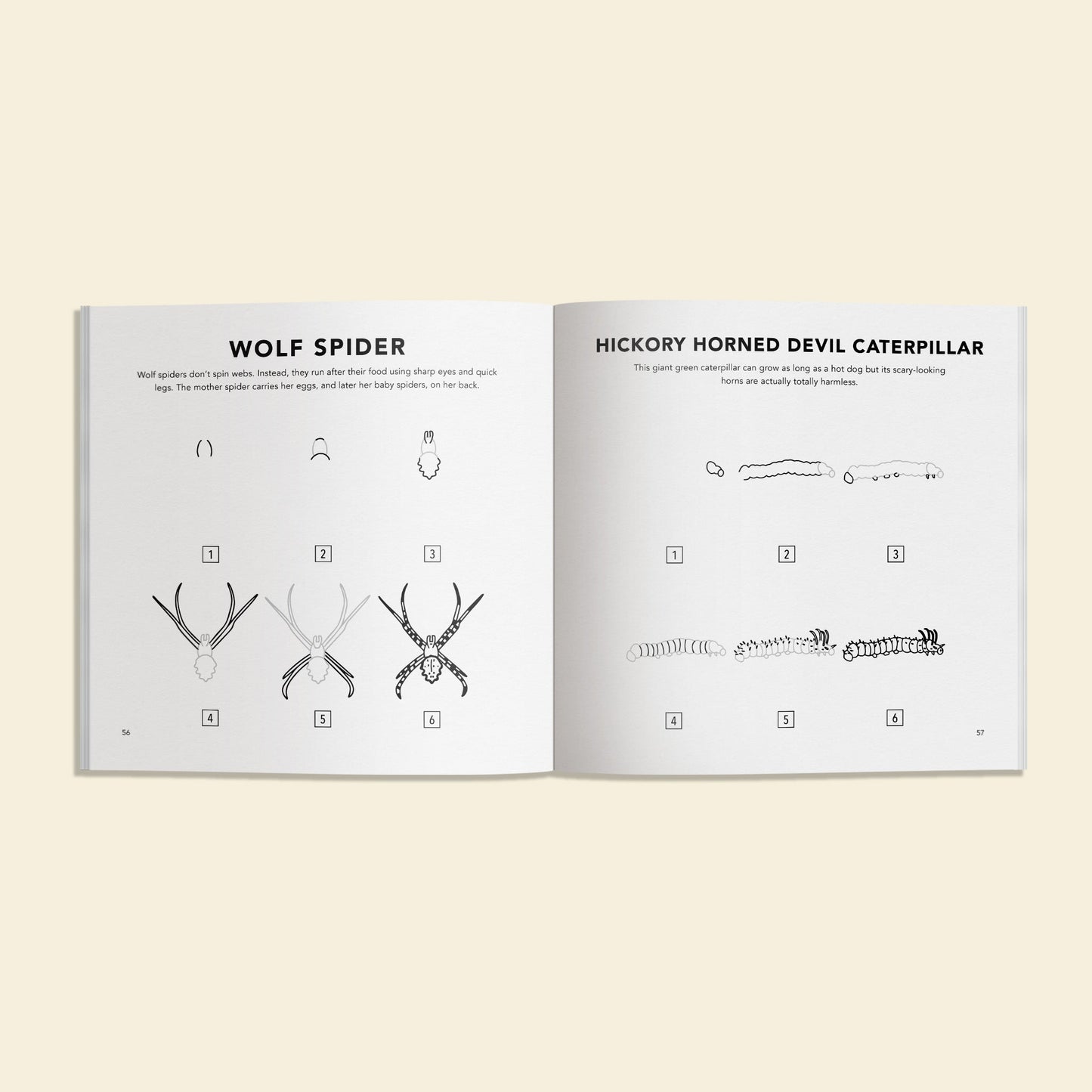Bugs: How to Draw Books for Kids