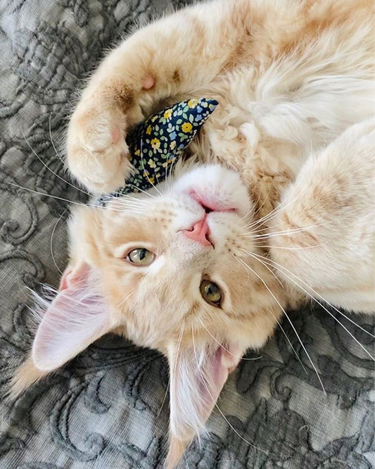 MODERN MOUSE CATNIP TOY - FLORAL