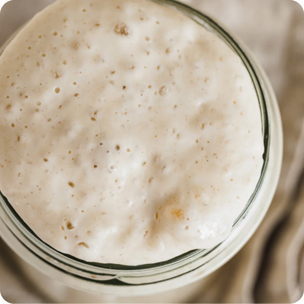 A Taste of Sourdough Cookbook