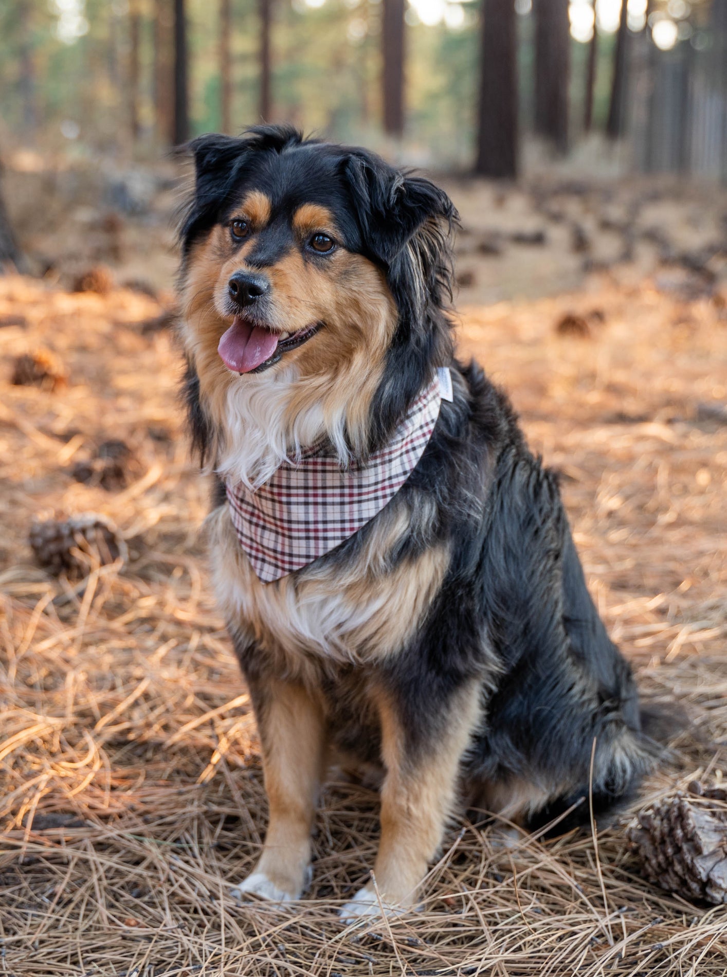 WINTER BANDANA