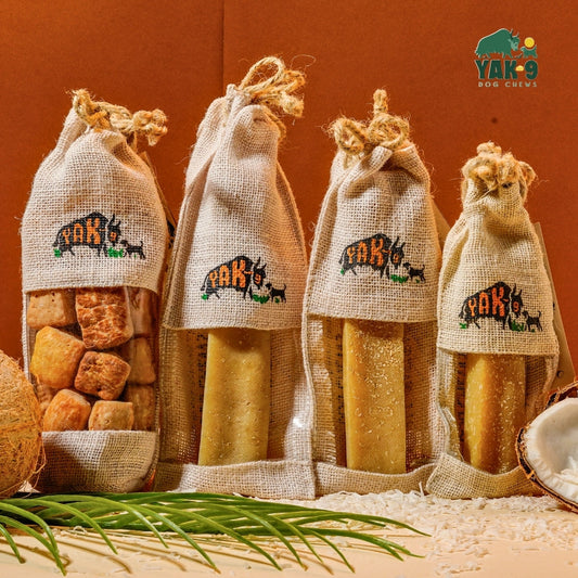 Coconut Yak Milk Chews for Dogs