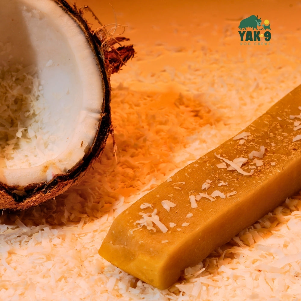 Coconut Yak Milk Chews for Dogs