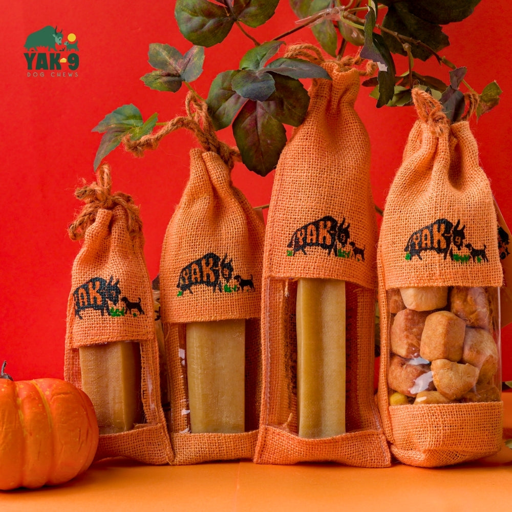 Pumpkin Yak Chews for Dogs
