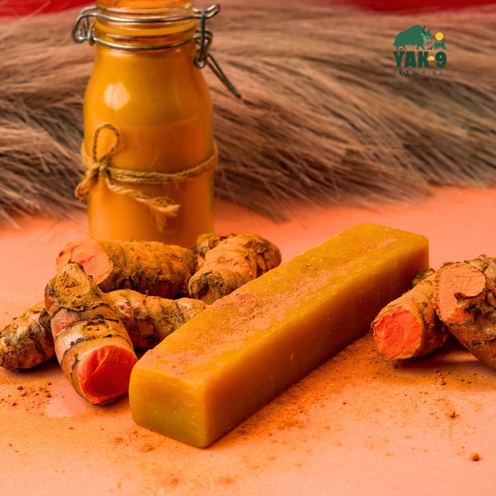 Turmeric Yak Milk Chews for Dogs
