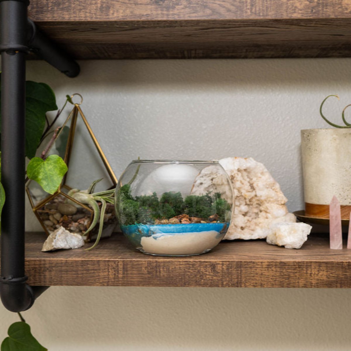 Resin Terrarium Kit
