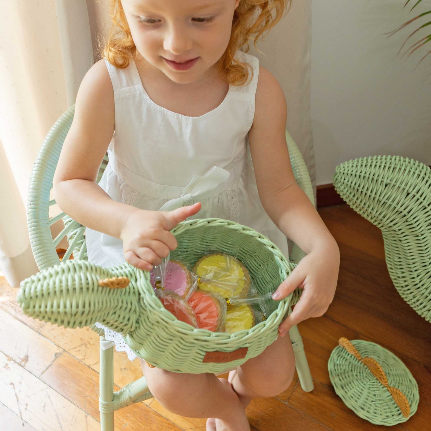 Dinosaur Rattan Storage Basket Mint Green - Small