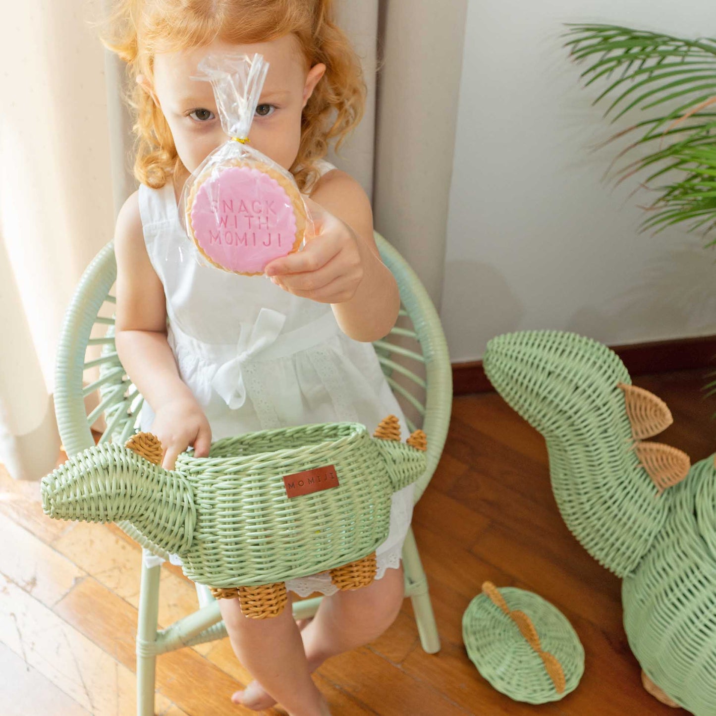 Dinosaur Rattan Storage Basket Mint Green - Small