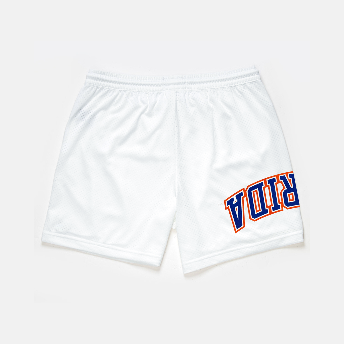 Florida Gators Mesh Shorts | Exclusive