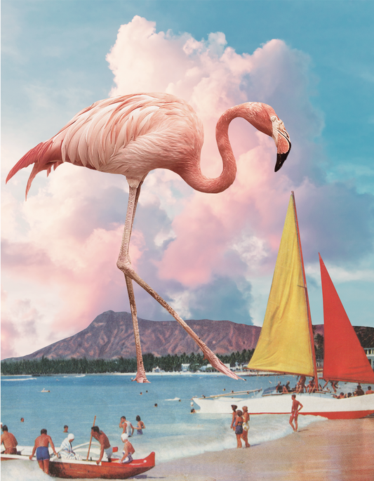 Flamingo Playground, Karen Lynch