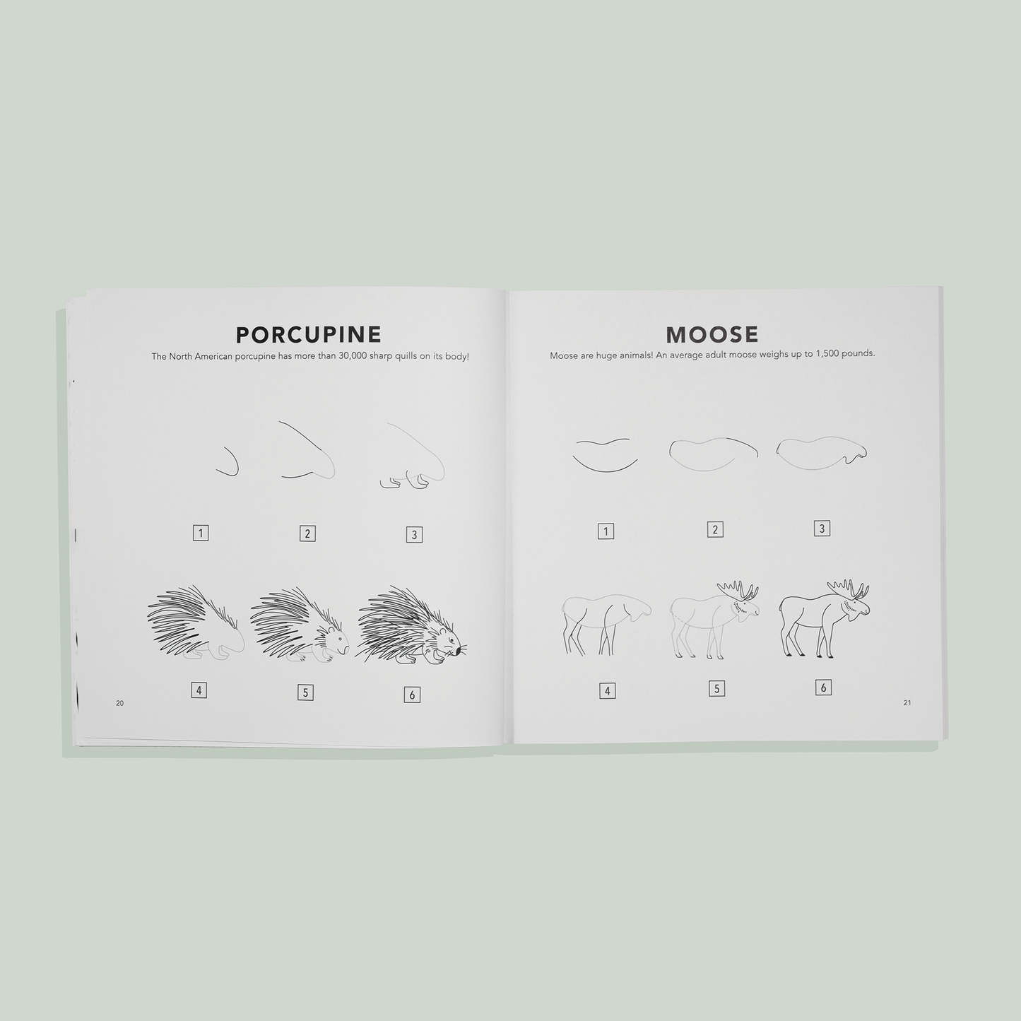 Mushrooms & Woodland Creatures: How to Draw Books for Kids