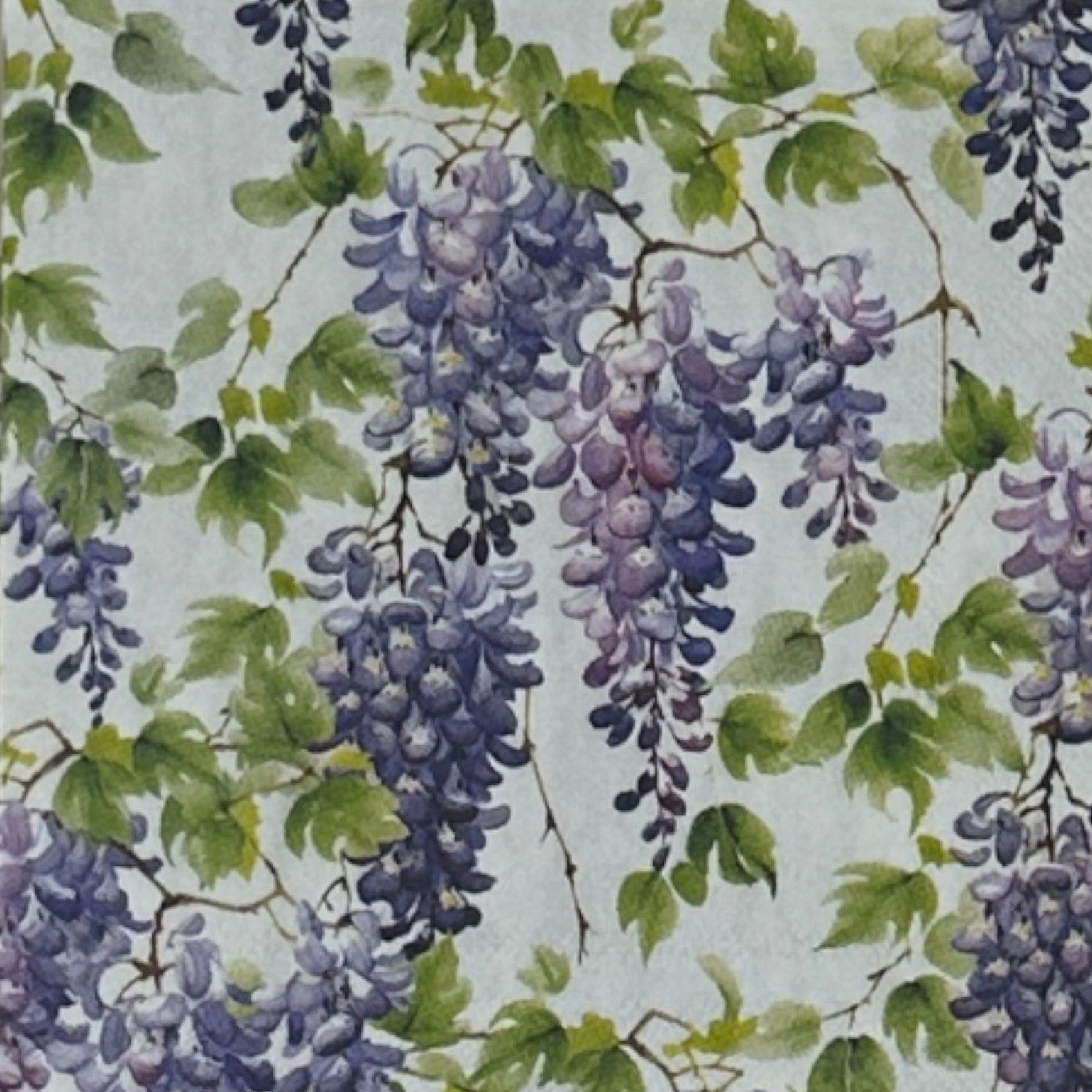 Pattern of purple wisteria flowers and green leaves on a light background