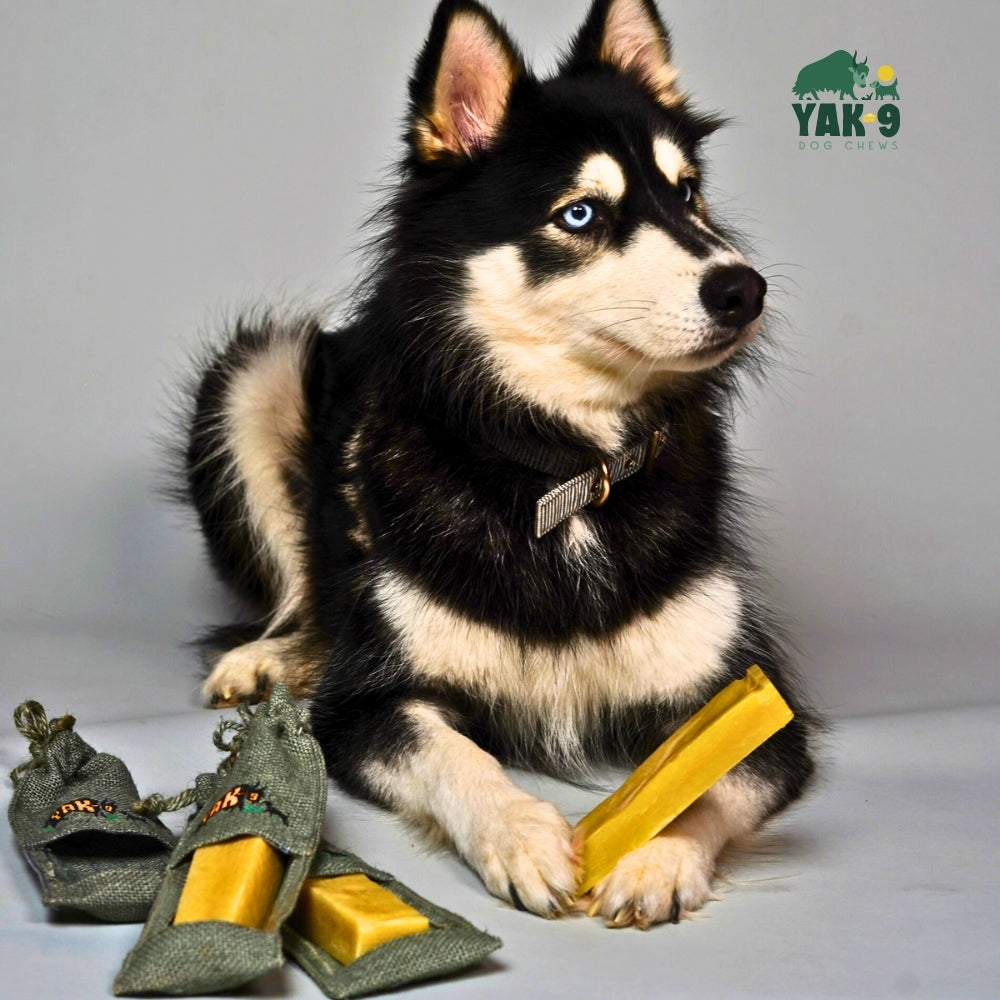Yak and Cow Milk Chews for Dogs