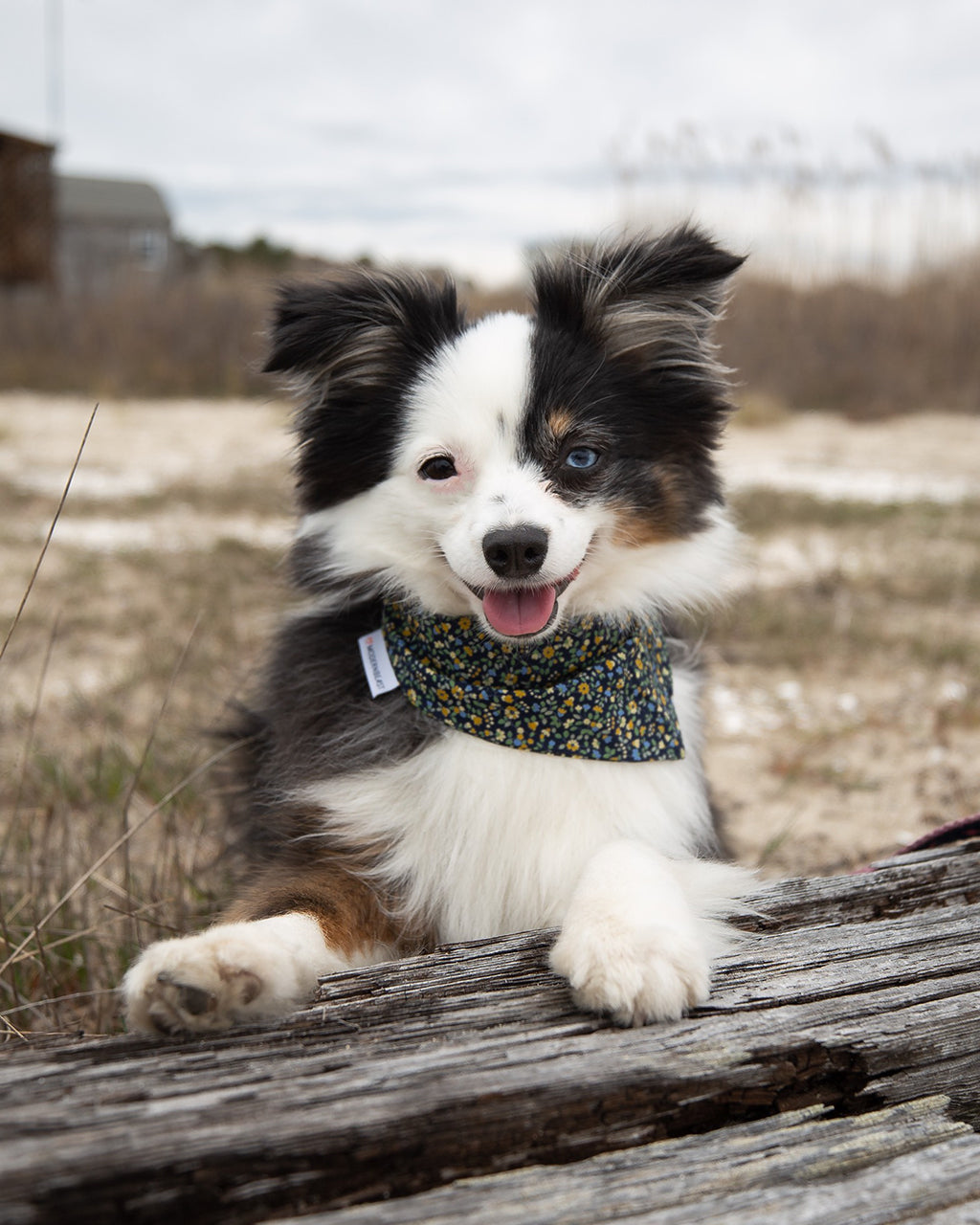 FLORAL BANDANA