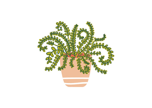 Happy Houseplant Mini Attachment