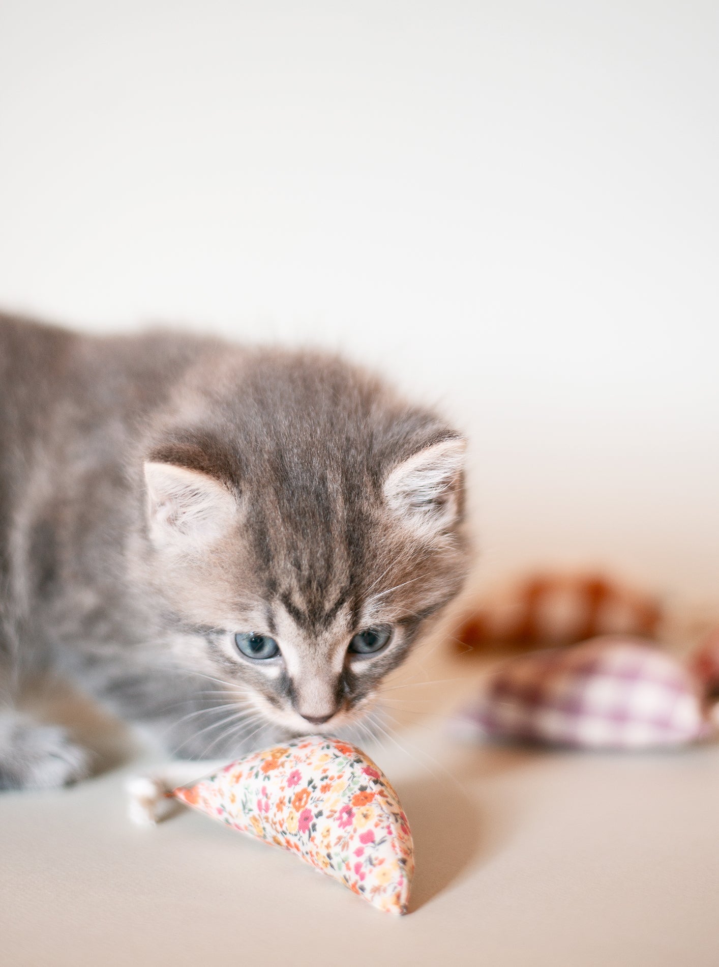 MODERN MOUSE CATNIP TOY - FLORAL