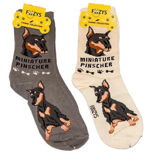 Graphic Adult Socks - Foozy - Miniature Pinscher