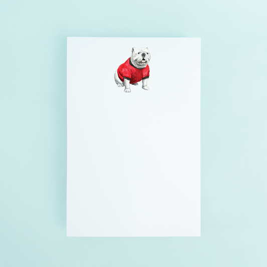 Bulldog
