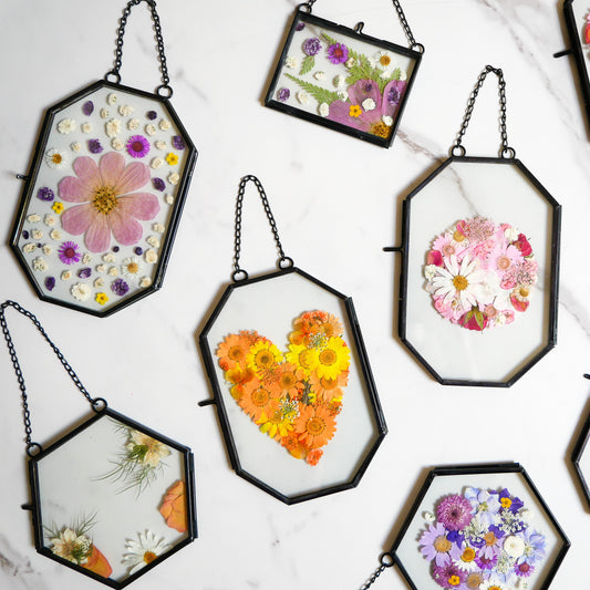 Framed Pressed Flowers Kit