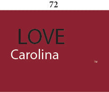 South Carolina Toddler Short Sleeve T Shirt Print