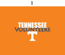 Tennessee Toddler Short Sleeve T Shirt Print