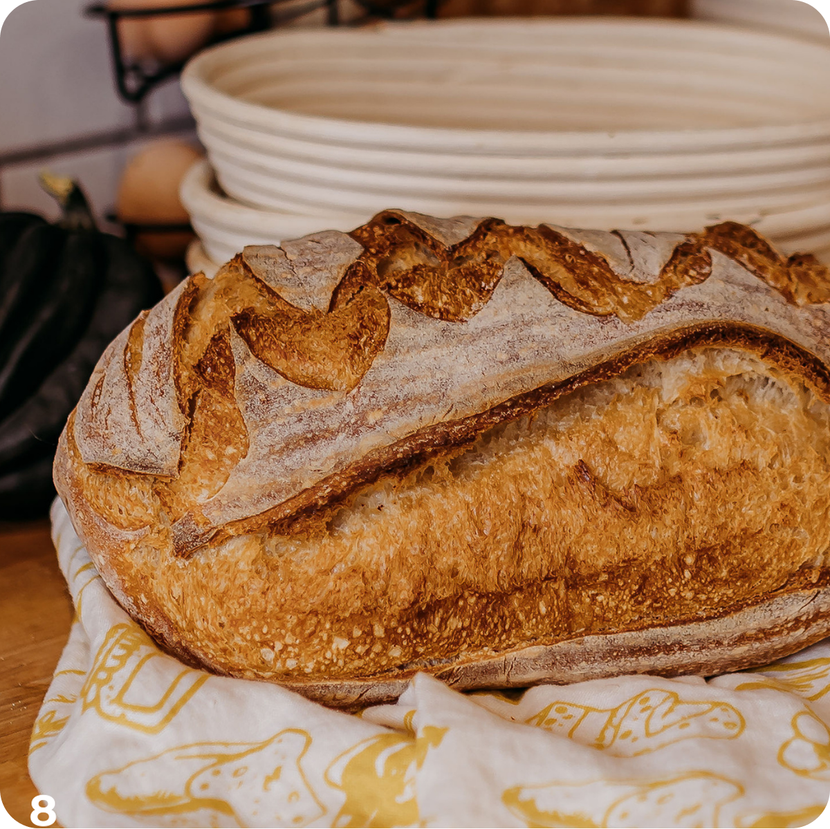 A Taste of Sourdough Cookbook (eBook)