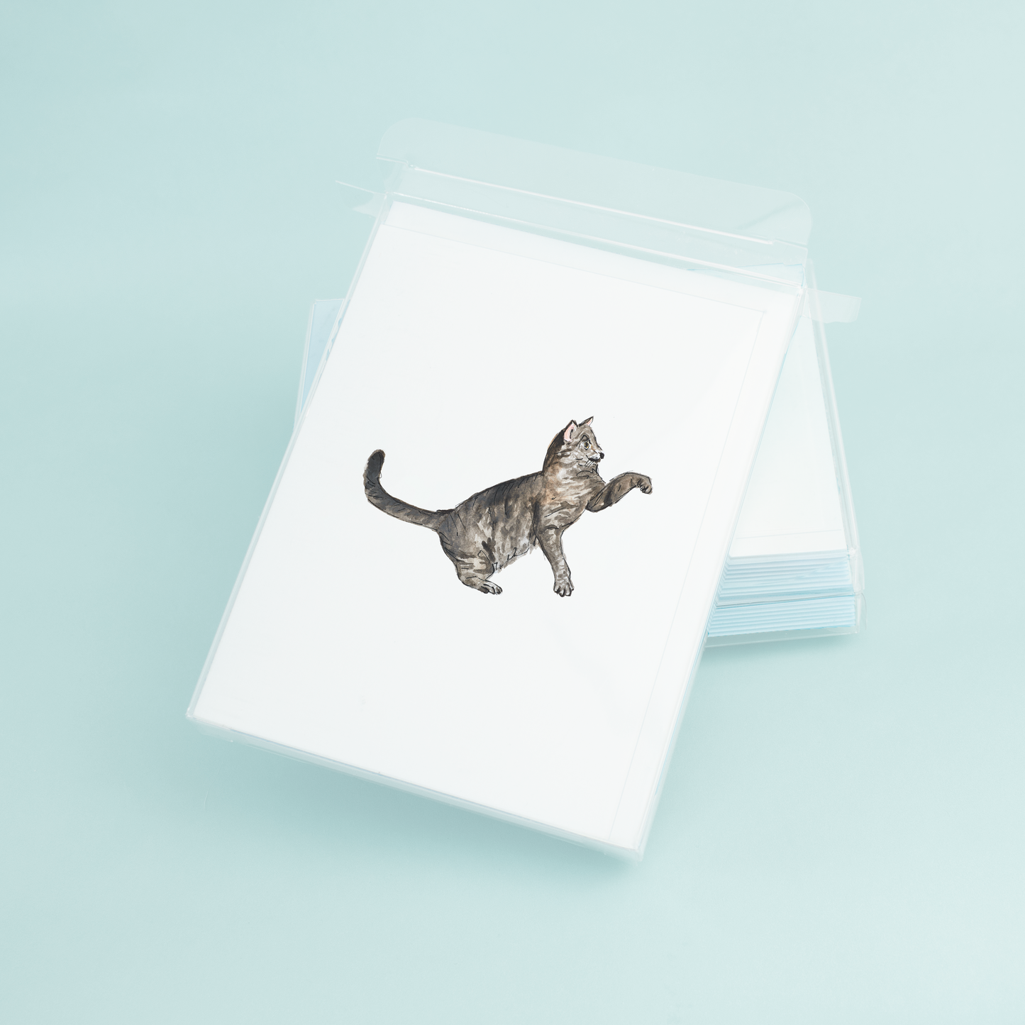 Tabby Cat