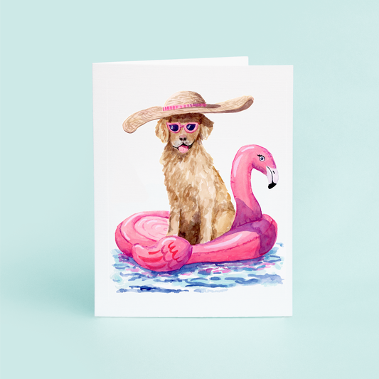 Pool Dog
