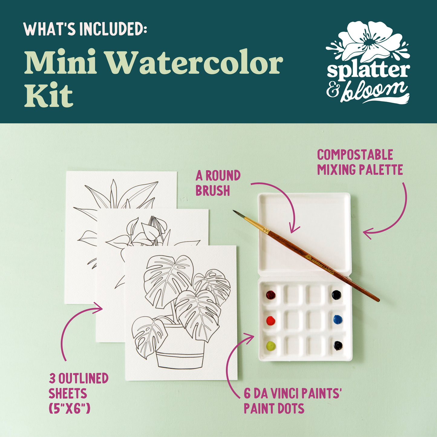 Potted Plants Watercolor Painting Kit - (Mini)