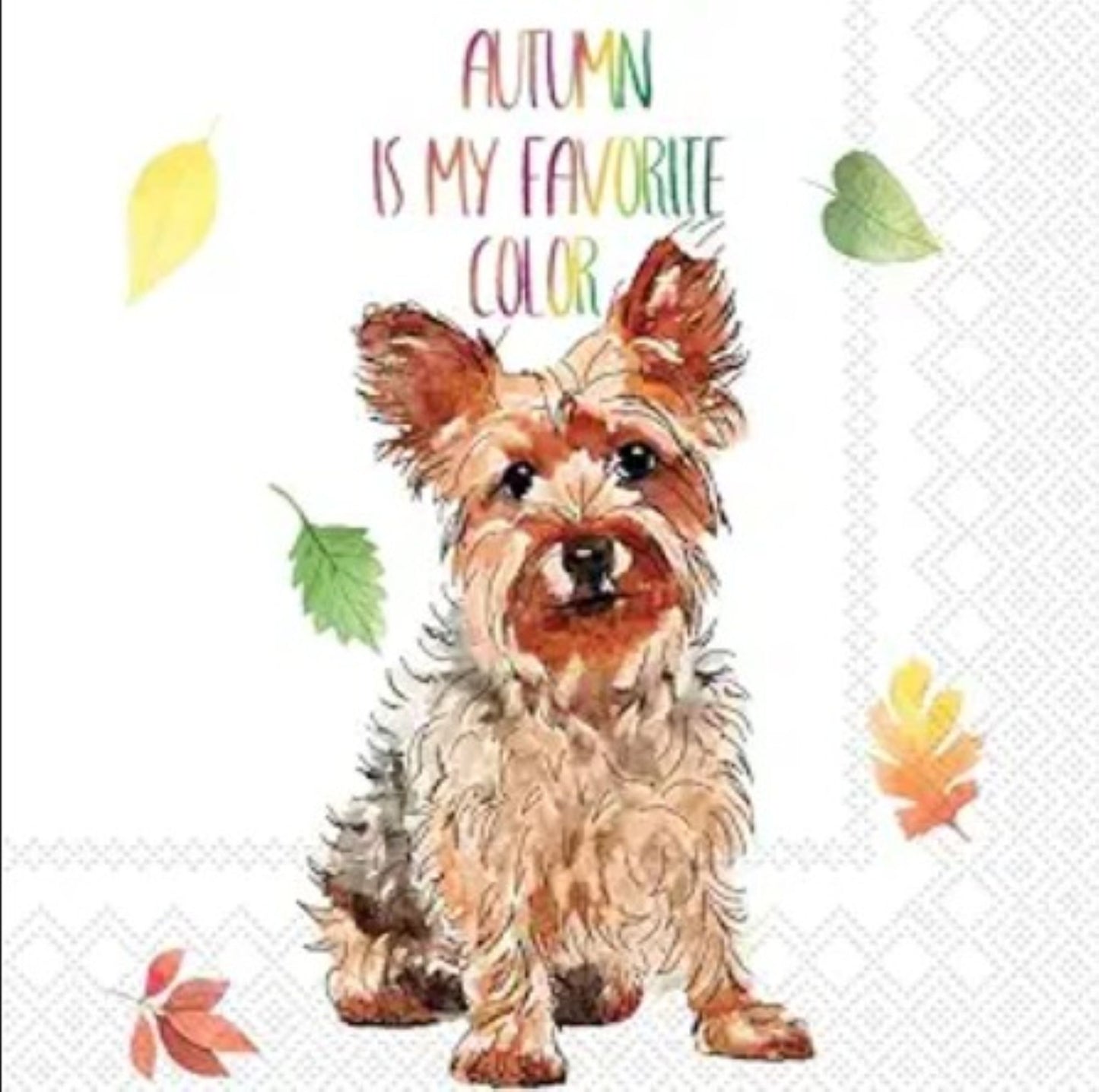 Cocktail-size decoupage paper napkin featuring a watercolor illustration of a fluffy Yorkshire Terrier with the hand-lettered phrase Autumn Is My Favorite Color surrounded by falling golden yellow rust orange and green autumn leaves on a soft white background.