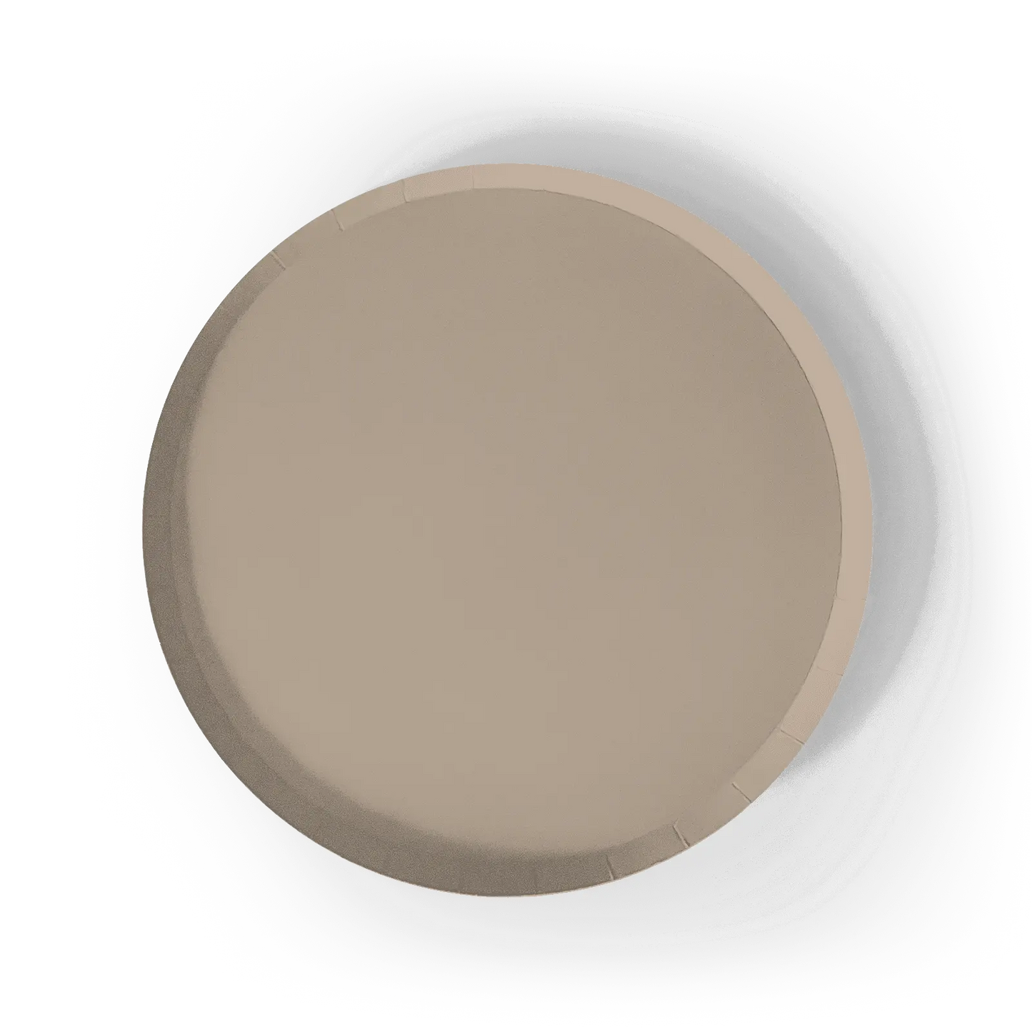 Beige Paper Party Plate (12pcs)