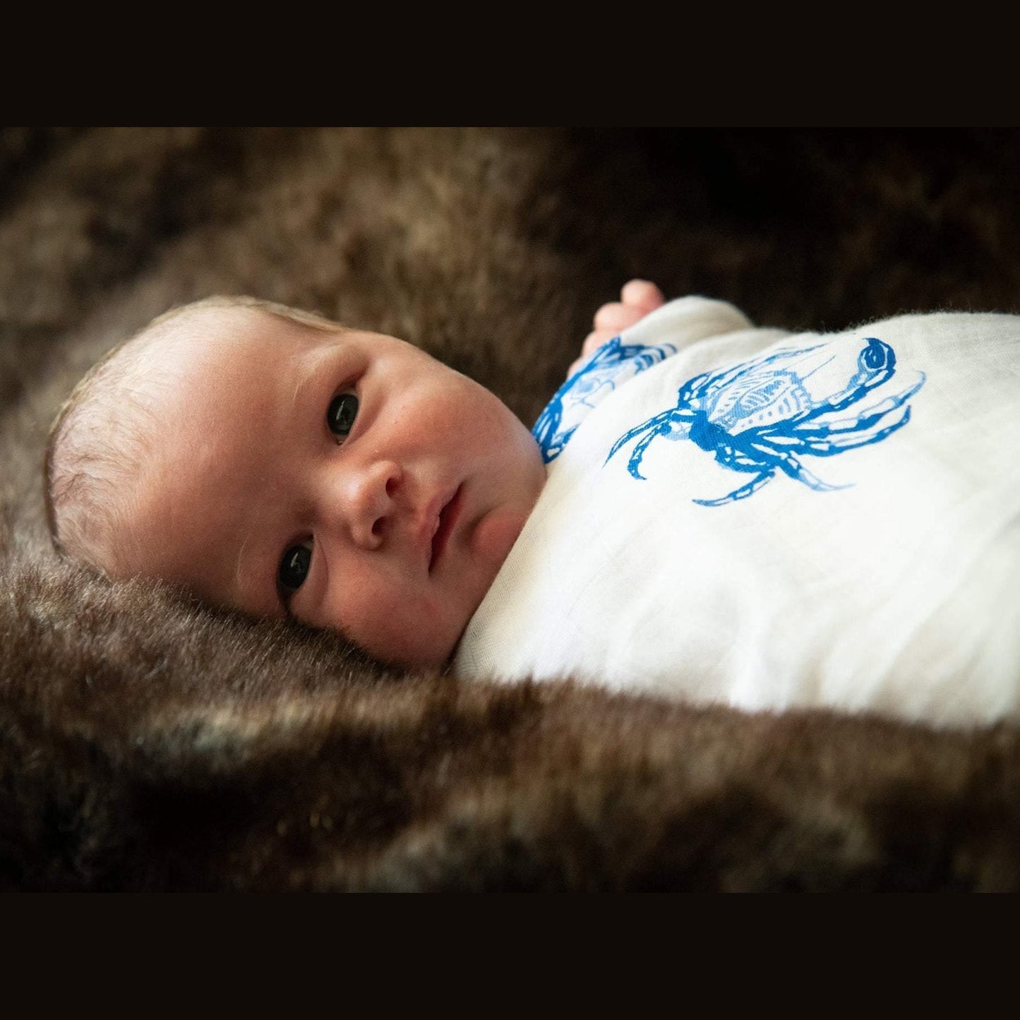 Blue Crab Newborn Gift Set: Muslin Swaddle & Bib | Organic Cotton