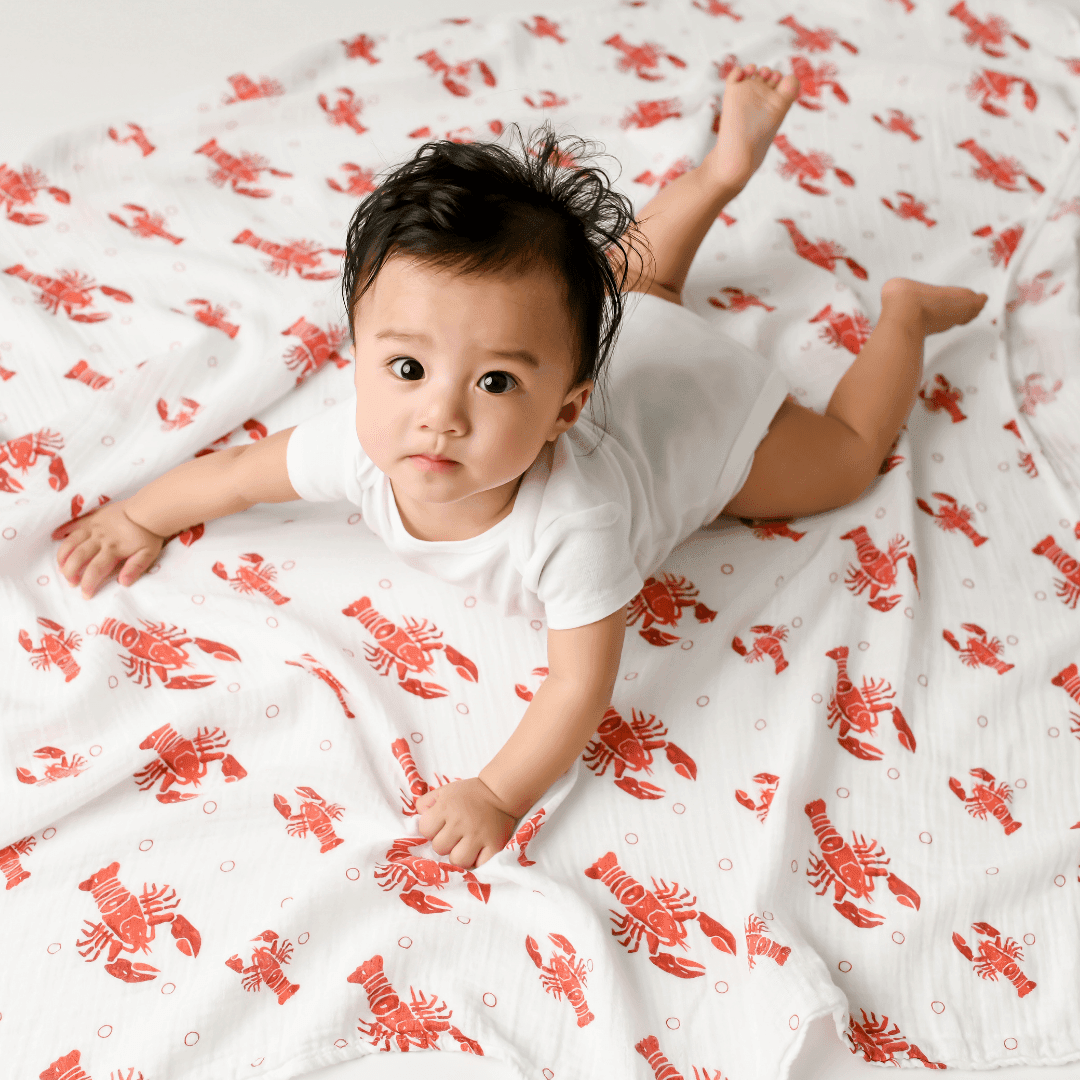 Heads Tails Crawfish Lobster Newborn Gift Set: Muslin Swaddle & Bib