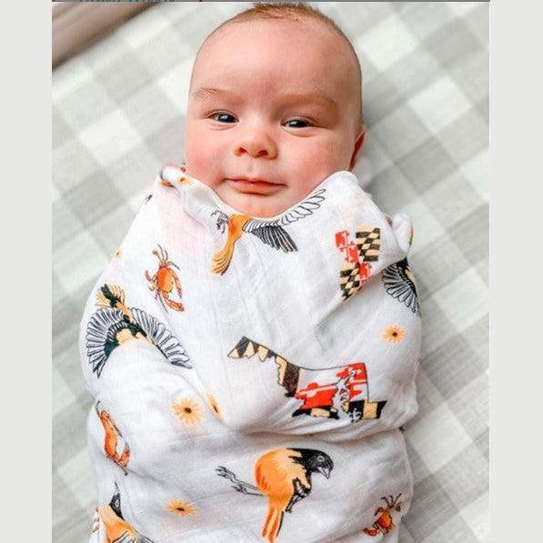 Maryland Newborn Gift Set: Muslin Swaddle & Bib | Organic Cotton