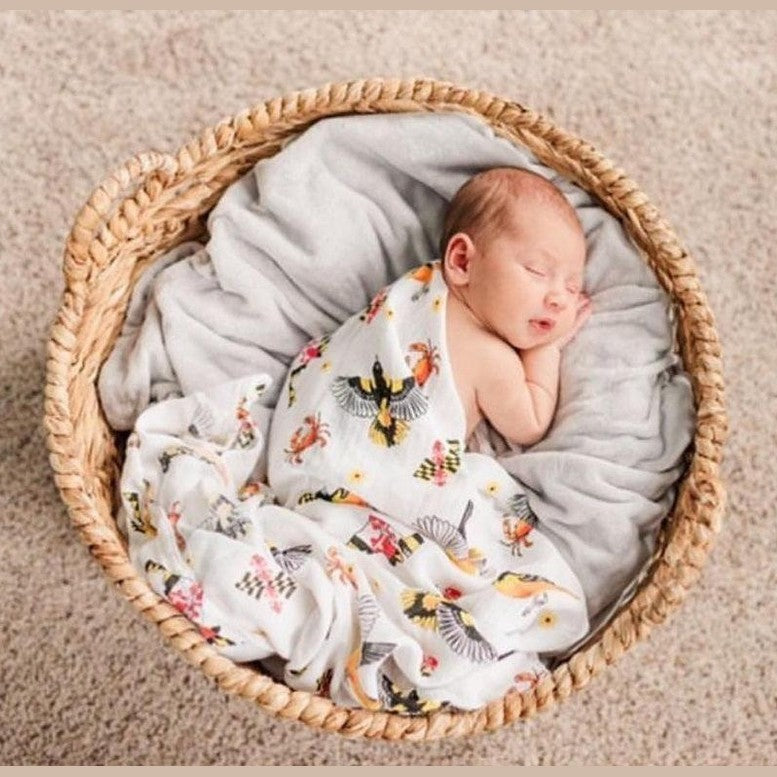 Maryland Newborn Gift Set: Muslin Swaddle & Bib | Organic Cotton