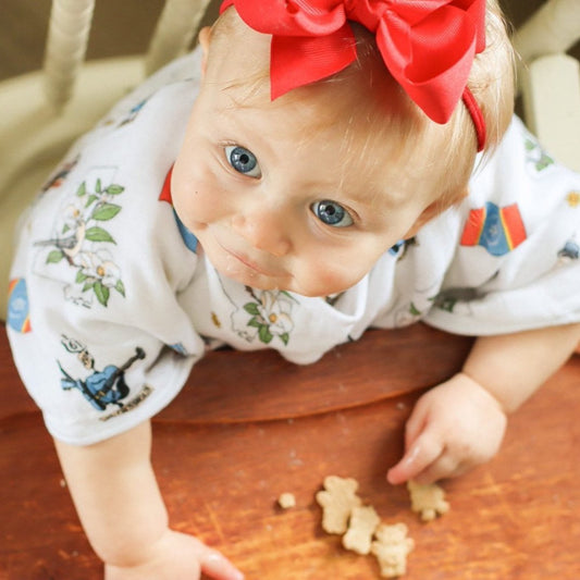 Mississippi Baby Gift Set: Muslin Swaddle & Bib | Organic Cotton